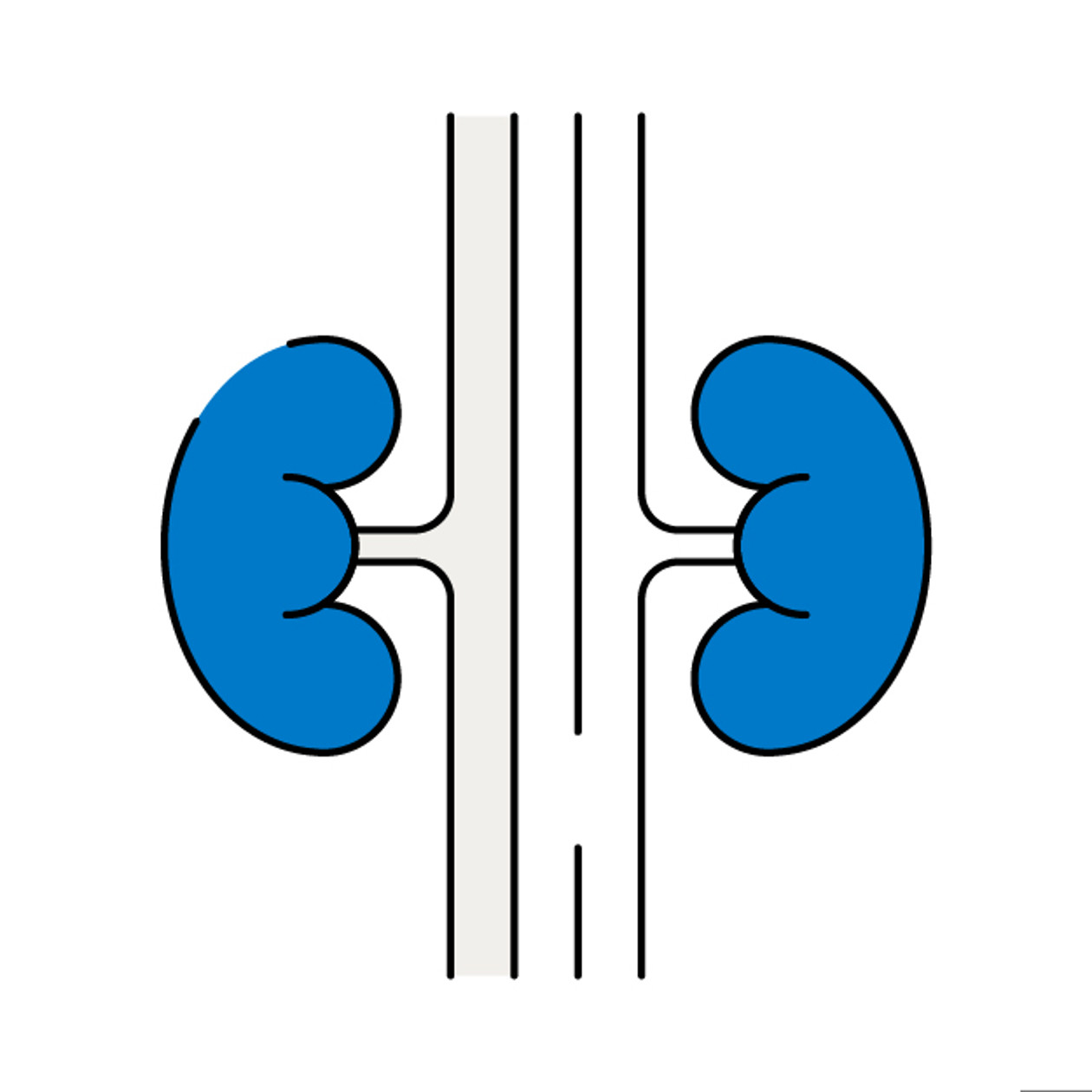 Detailed Kidney Health Screening